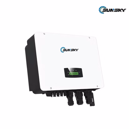 Inverters Home Solar System 1000W 2000W 3000W off Grid Solar Inverters